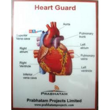 Anti Radiation - Heart Guard-Cogent Buy 1 Get 1 Free